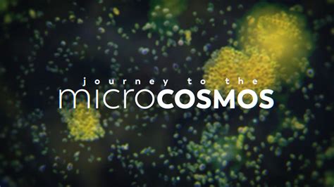 Journey to the Microcosmos – Tutustu mikromaailmaan hauskojen haasteiden avulla!